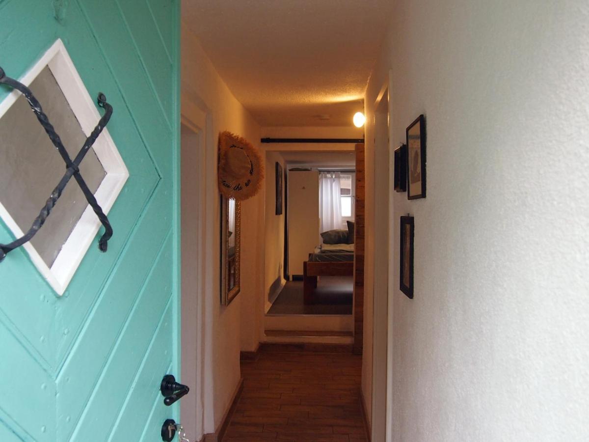 Ferienwohnung Gartenglueck 特劳恩施泰因 外观 照片