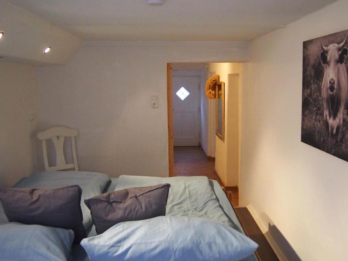 Ferienwohnung Gartenglueck 特劳恩施泰因 外观 照片