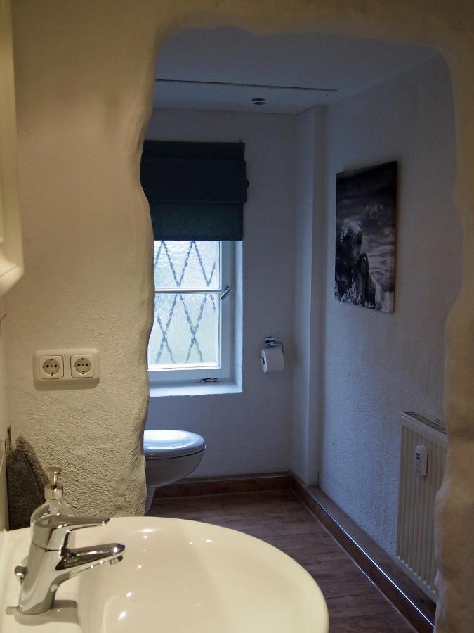 Ferienwohnung Gartenglueck 特劳恩施泰因 外观 照片