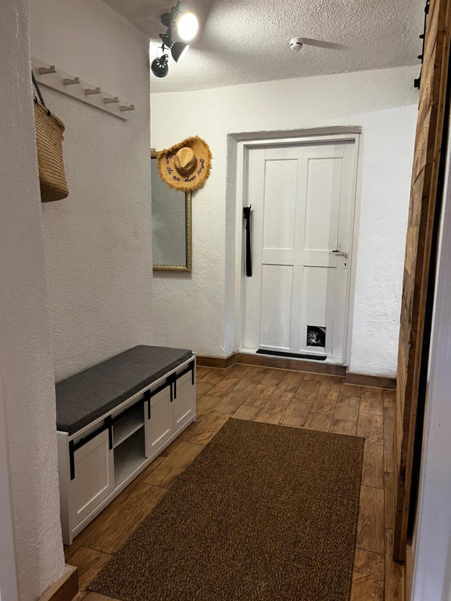 Ferienwohnung Gartenglueck 特劳恩施泰因 外观 照片